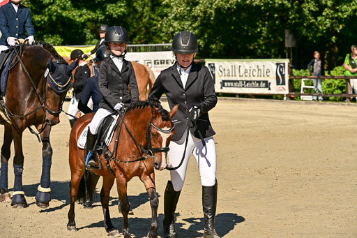 Show Jumping Event Stall Leichle in Schnarup | 17082025 Führzügel WB _213 