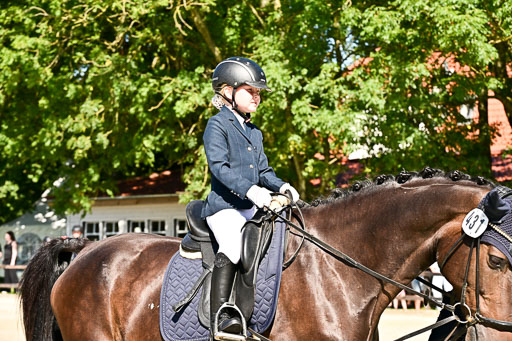 Show Jumping Event Stall Leichle in Schnarup | 17082025 Führzügel WB _214 