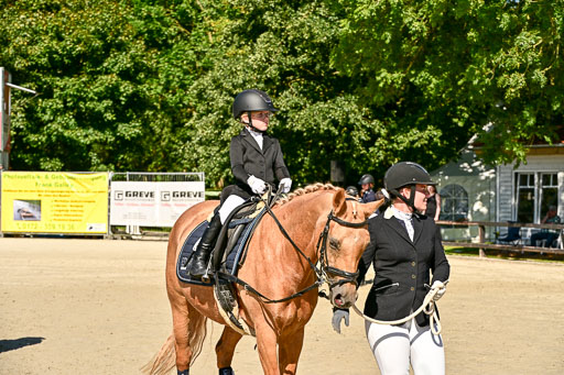 Show Jumping Event Stall Leichle in Schnarup | 17082025 Führzügel WB _215 