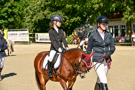 Show Jumping Event Stall Leichle in Schnarup | 17082025 Führzügel WB _216 