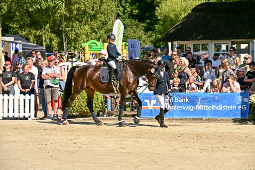 Show Jumping Event Stall Leichle in Schnarup | 17082025 Führzügel WB _219 