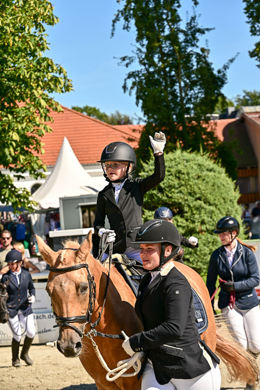 Show Jumping Event Stall Leichle in Schnarup | 17082025 Führzügel WB _223 