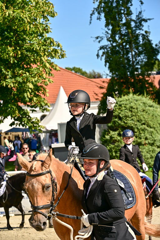 Show Jumping Event Stall Leichle in Schnarup | 17082025 Führzügel WB _224 