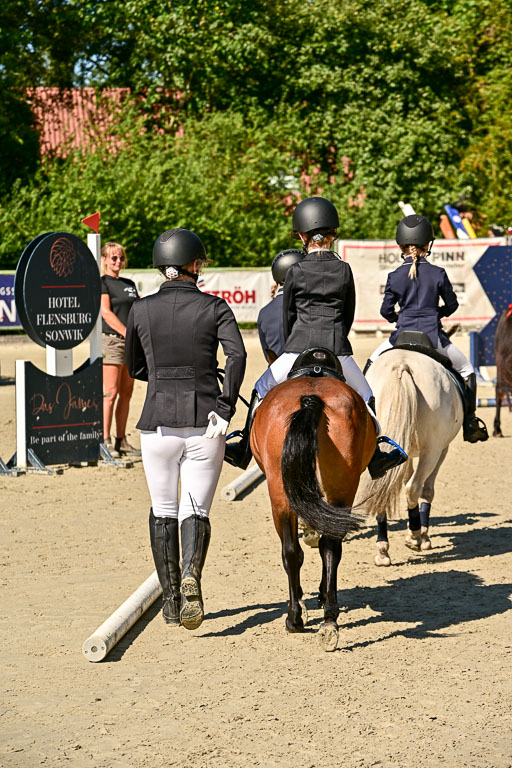 Show Jumping Event Stall Leichle in Schnarup | 17082025 Führzügel WB _234 