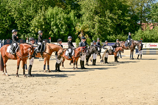 Show Jumping Event Stall Leichle in Schnarup | 17082025 Führzügel WB _238 