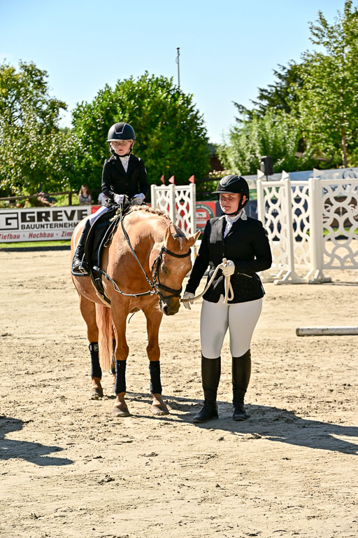 Show Jumping Event Stall Leichle in Schnarup | 17082025 Führzügel WB _240 