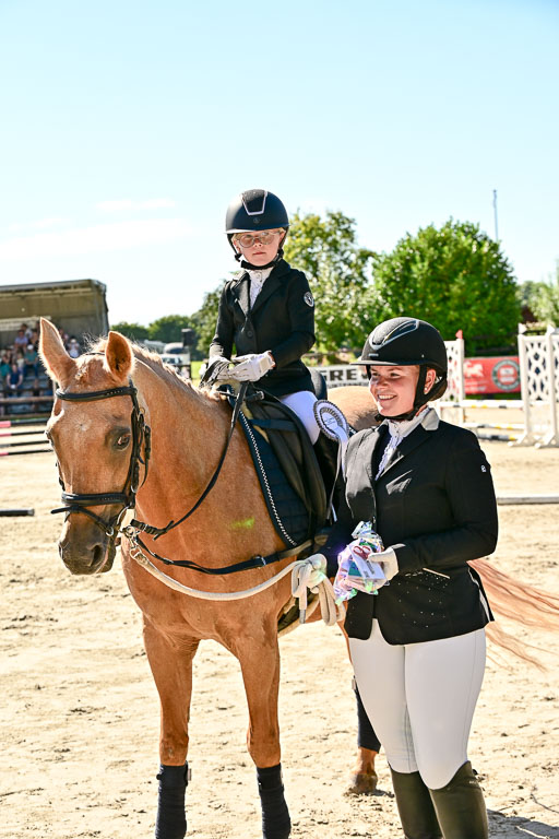 Show Jumping Event Stall Leichle in Schnarup | 17082025 Führzügel WB _259 
