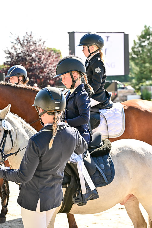 Show Jumping Event Stall Leichle in Schnarup | 17082025 Führzügel WB _263 