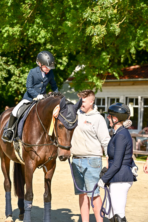 Show Jumping Event Stall Leichle in Schnarup | 17082025 Führzügel WB _279 