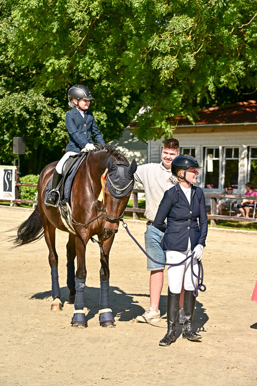 Show Jumping Event Stall Leichle in Schnarup | 17082025 Führzügel WB _280 