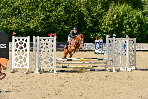 Show Jumping Event Stall Leichle in Schnarup | 17082025 Stil WB So_010 