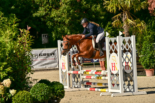 Show Jumping Event Stall Leichle in Schnarup | 17082025 Stil WB So_012 