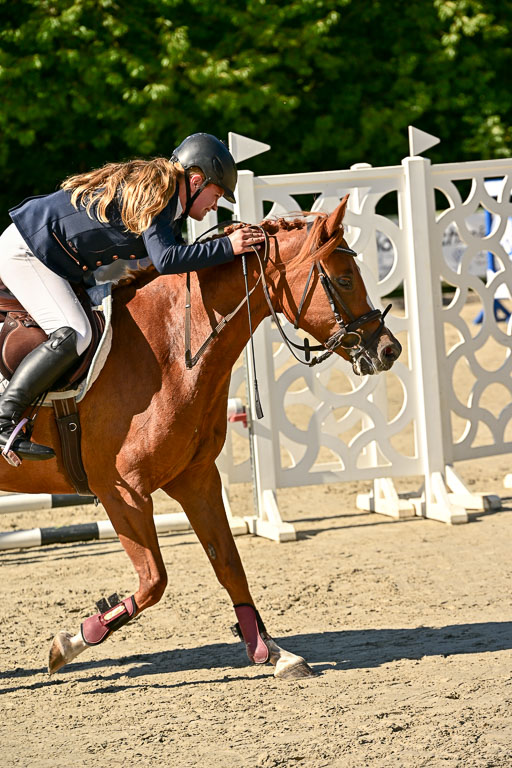 Show Jumping Event Stall Leichle in Schnarup | 17082025 Stil WB So_014 