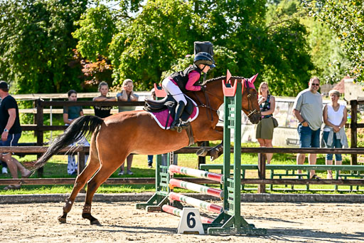 Show Jumping Event Stall Leichle in Schnarup | 17082025 Stil WB So_020 