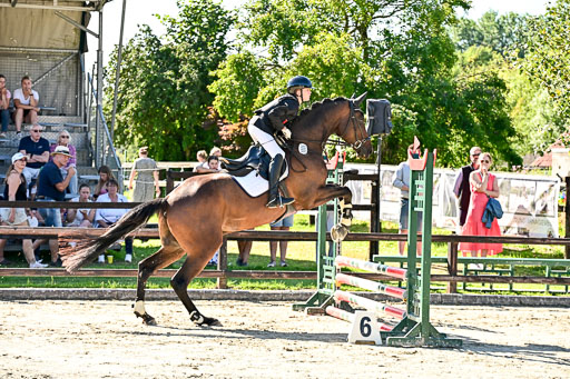 Show Jumping Event Stall Leichle in Schnarup | 17082025 Stil WB So_028 
