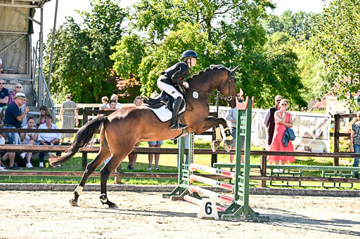Show Jumping Event Stall Leichle in Schnarup | 17082025 Stil WB So_029 