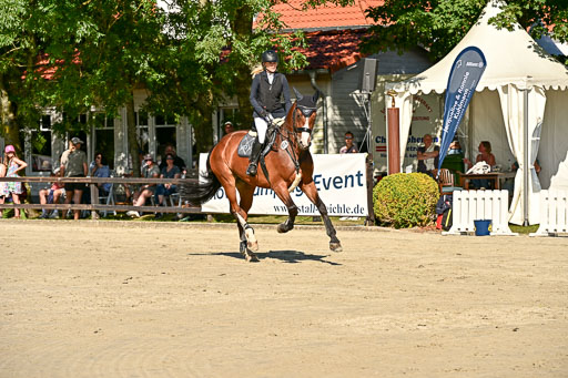 Show Jumping Event Stall Leichle in Schnarup | 17082025 Stil WB So_033 