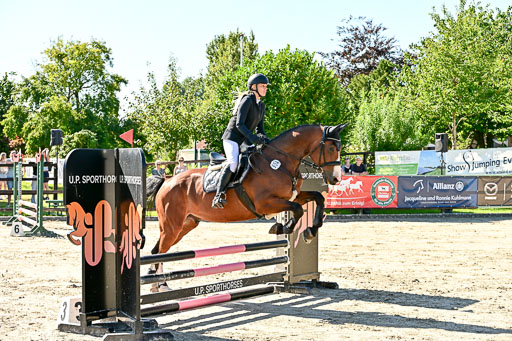 Show Jumping Event Stall Leichle in Schnarup | 17082025 Stil WB So_035 