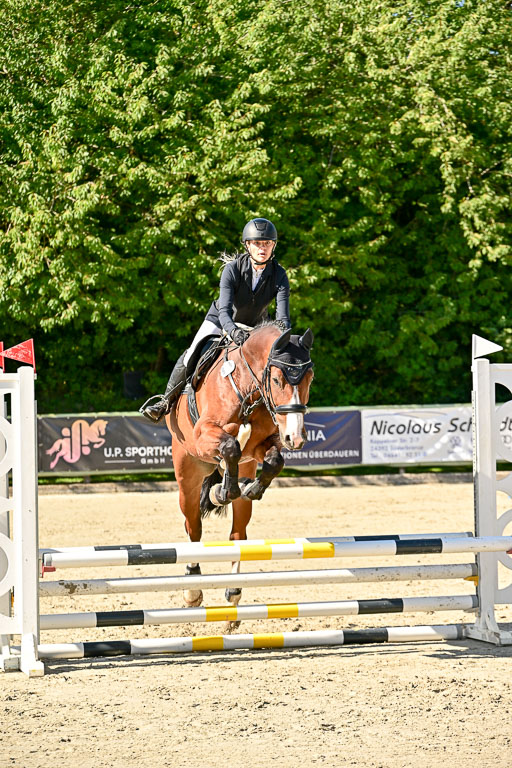 Show Jumping Event Stall Leichle in Schnarup | 17082025 Stil WB So_036 