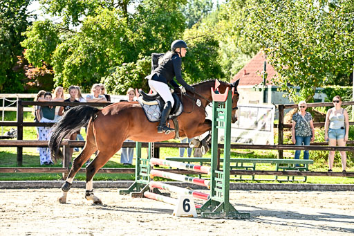 Show Jumping Event Stall Leichle in Schnarup | 17082025 Stil WB So_037 