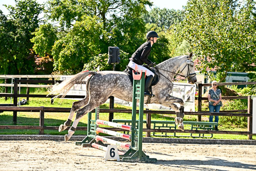 Show Jumping Event Stall Leichle in Schnarup | 17082025 Stil WB So_044 