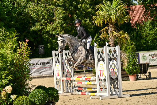 Show Jumping Event Stall Leichle in Schnarup | 17082025 Stil WB So_045 