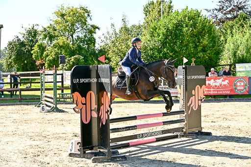 Show Jumping Event Stall Leichle in Schnarup | 17082025 Stil WB So_051 