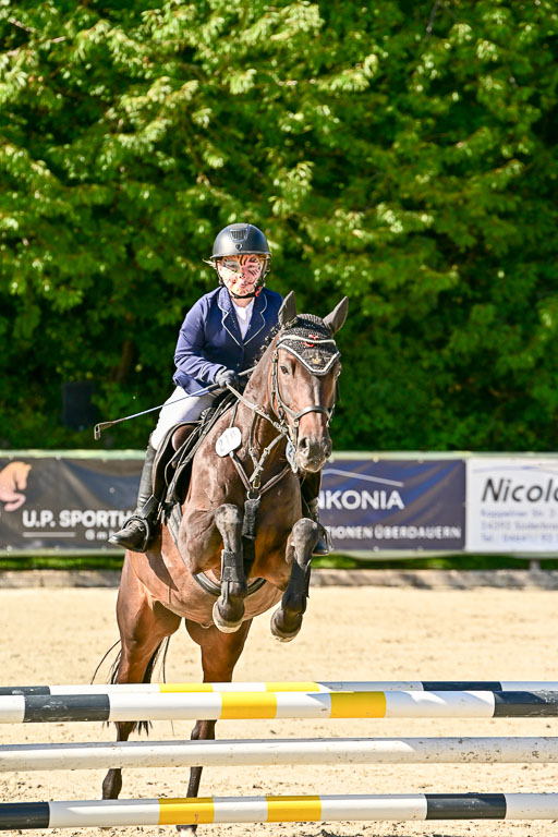 Show Jumping Event Stall Leichle in Schnarup | 17082025 Stil WB So_052 