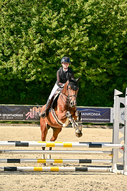 Show Jumping Event Stall Leichle in Schnarup | 17082025 Stil WB So_064 