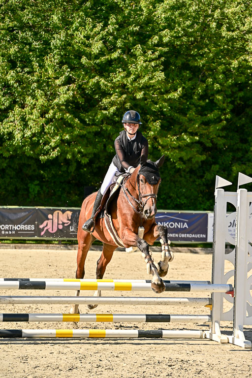 Show Jumping Event Stall Leichle in Schnarup | 17082025 Stil WB So_065 