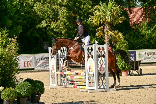 Show Jumping Event Stall Leichle in Schnarup | 17082025 Stil WB So_066 