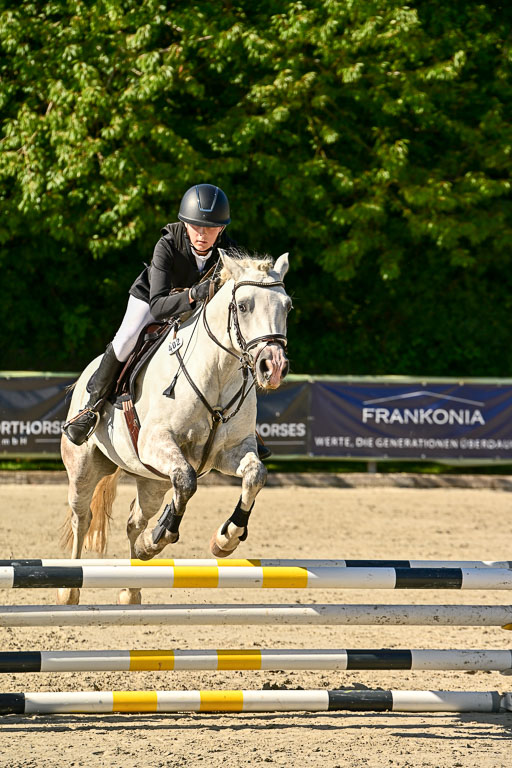 Show Jumping Event Stall Leichle in Schnarup | 17082025 Stil WB So_073 