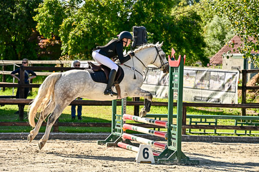 Show Jumping Event Stall Leichle in Schnarup | 17082025 Stil WB So_075 