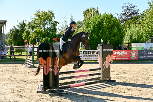 Show Jumping Event Stall Leichle in Schnarup | 17082025 Stil WB So_082 