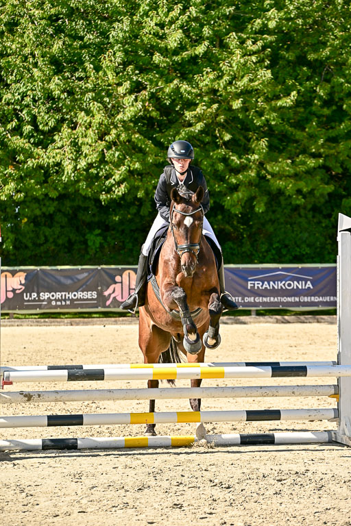 Show Jumping Event Stall Leichle in Schnarup | 17082025 Stil WB So_084 