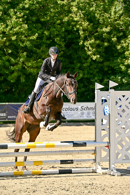 Show Jumping Event Stall Leichle in Schnarup | 17082025 Stil WB So_090 