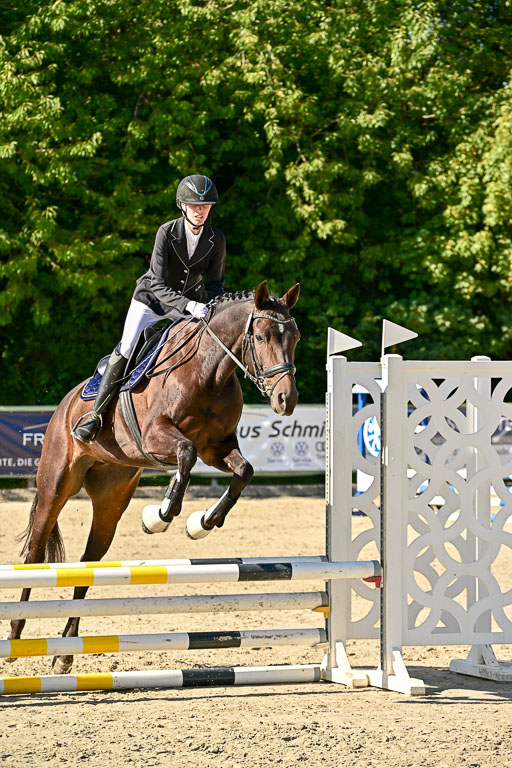 Show Jumping Event Stall Leichle in Schnarup | 17082025 Stil WB So_091 