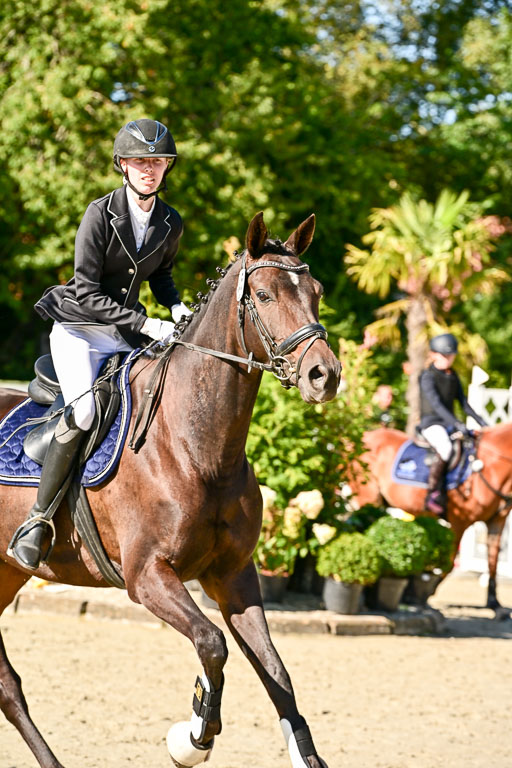 Show Jumping Event Stall Leichle in Schnarup | 17082025 Stil WB So_092 
