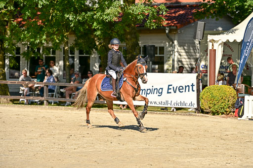 Show Jumping Event Stall Leichle in Schnarup | 17082025 Stil WB So_094 