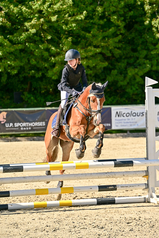 Show Jumping Event Stall Leichle in Schnarup | 17082025 Stil WB So_100 