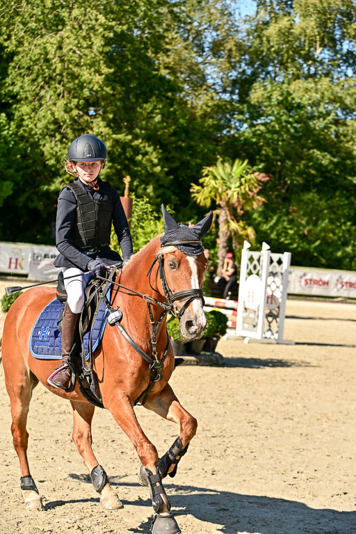 Show Jumping Event Stall Leichle in Schnarup | 17082025 Stil WB So_101 