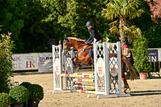 Show Jumping Event Stall Leichle in Schnarup | 17082025 Stil WB So_103 