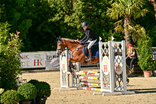 Show Jumping Event Stall Leichle in Schnarup | 17082025 Stil WB So_104 