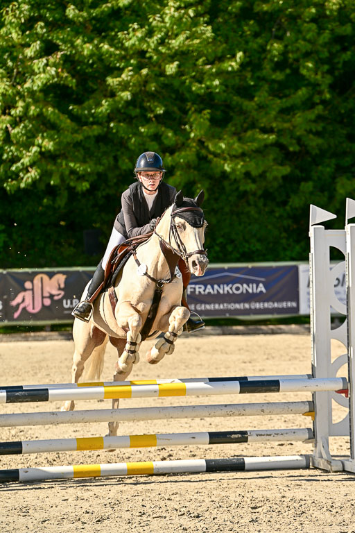 Show Jumping Event Stall Leichle in Schnarup | 17082025 Stil WB So_108 