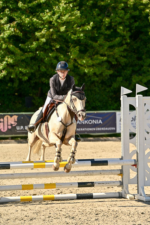 Show Jumping Event Stall Leichle in Schnarup | 17082025 Stil WB So_109 