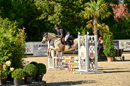 Show Jumping Event Stall Leichle in Schnarup | 17082025 Stil WB So_114 