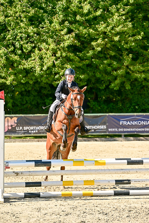 Show Jumping Event Stall Leichle in Schnarup | 17082025 Stil WB So_118 