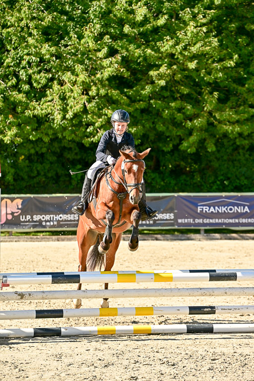 Show Jumping Event Stall Leichle in Schnarup | 17082025 Stil WB So_119 