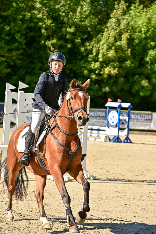 Show Jumping Event Stall Leichle in Schnarup | 17082025 Stil WB So_120 