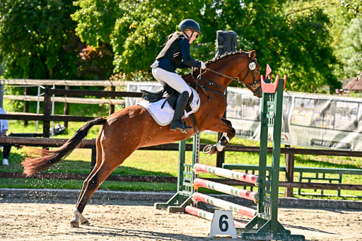 Show Jumping Event Stall Leichle in Schnarup | 17082025 Stil WB So_121 